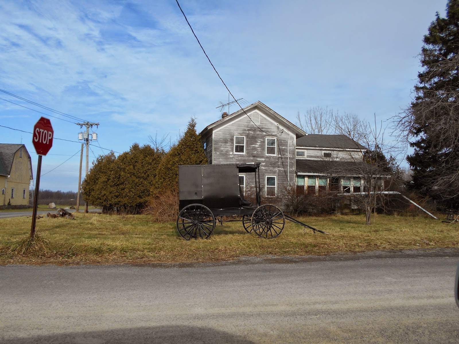 New York State of Mind: AMISH FARM WITH CHILDREN AND MENNONITE HOUSE