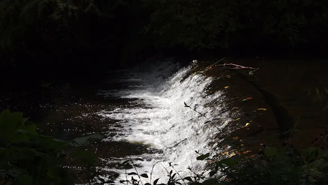 Waterfall running through Mount Usher Gardens in County Wicklow