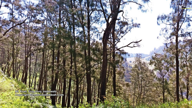 Pendakian Gunung Kawi via Keraton
