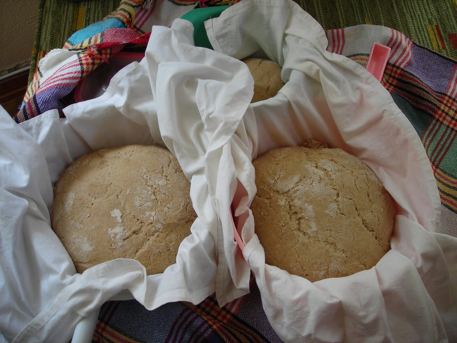 Emecik Günleri Datça�da Basma Börek Sazlı Usulü