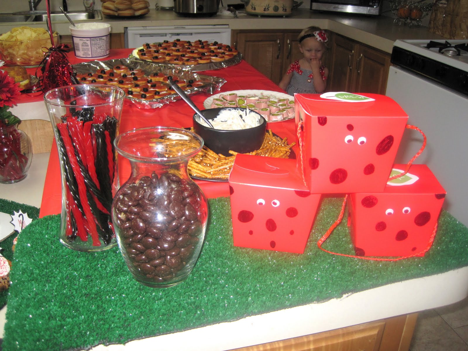 Rachael And Montgomery Ladybug Party 