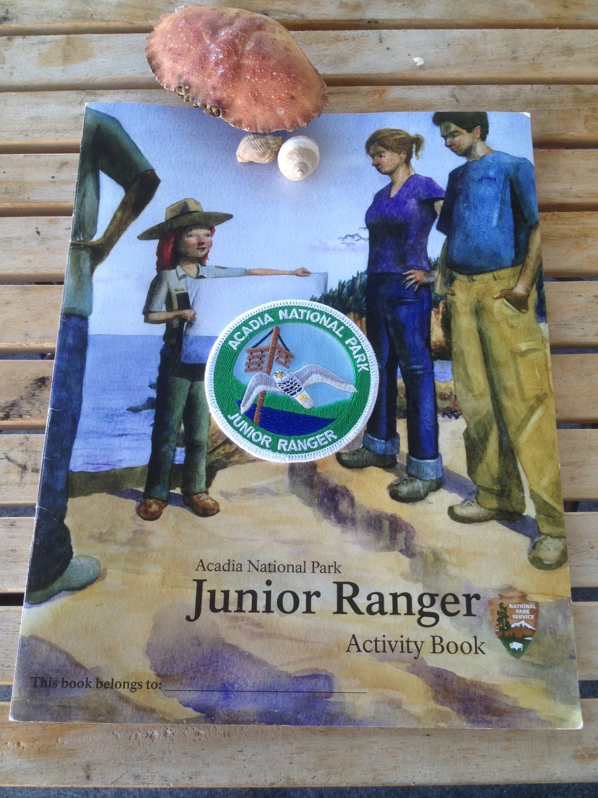 Shanna's Adventures: Acadia National Park Junior Ranger Program