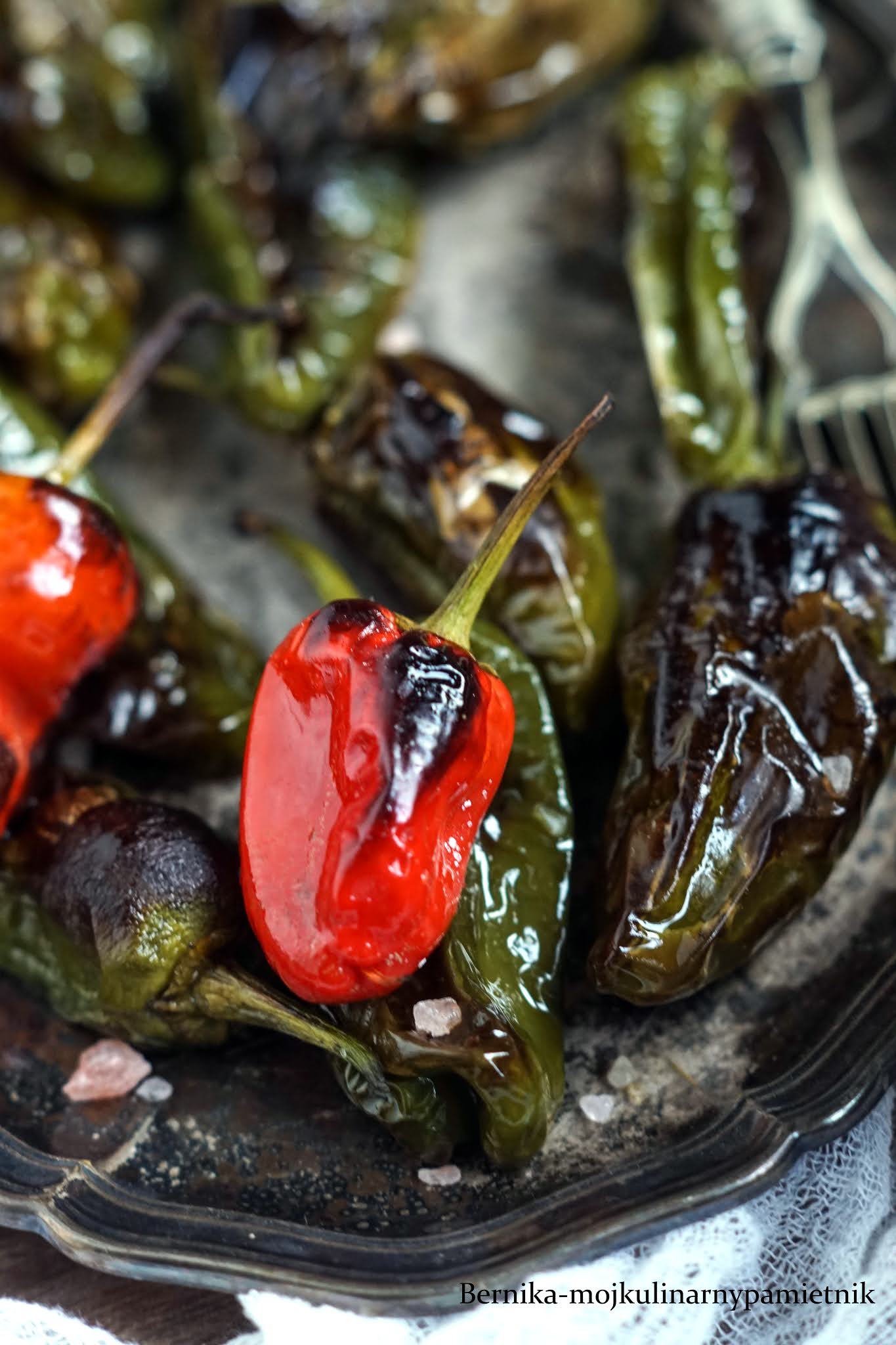 Grillowane papryczki padron Bernika mój kulinarny pamiętnik