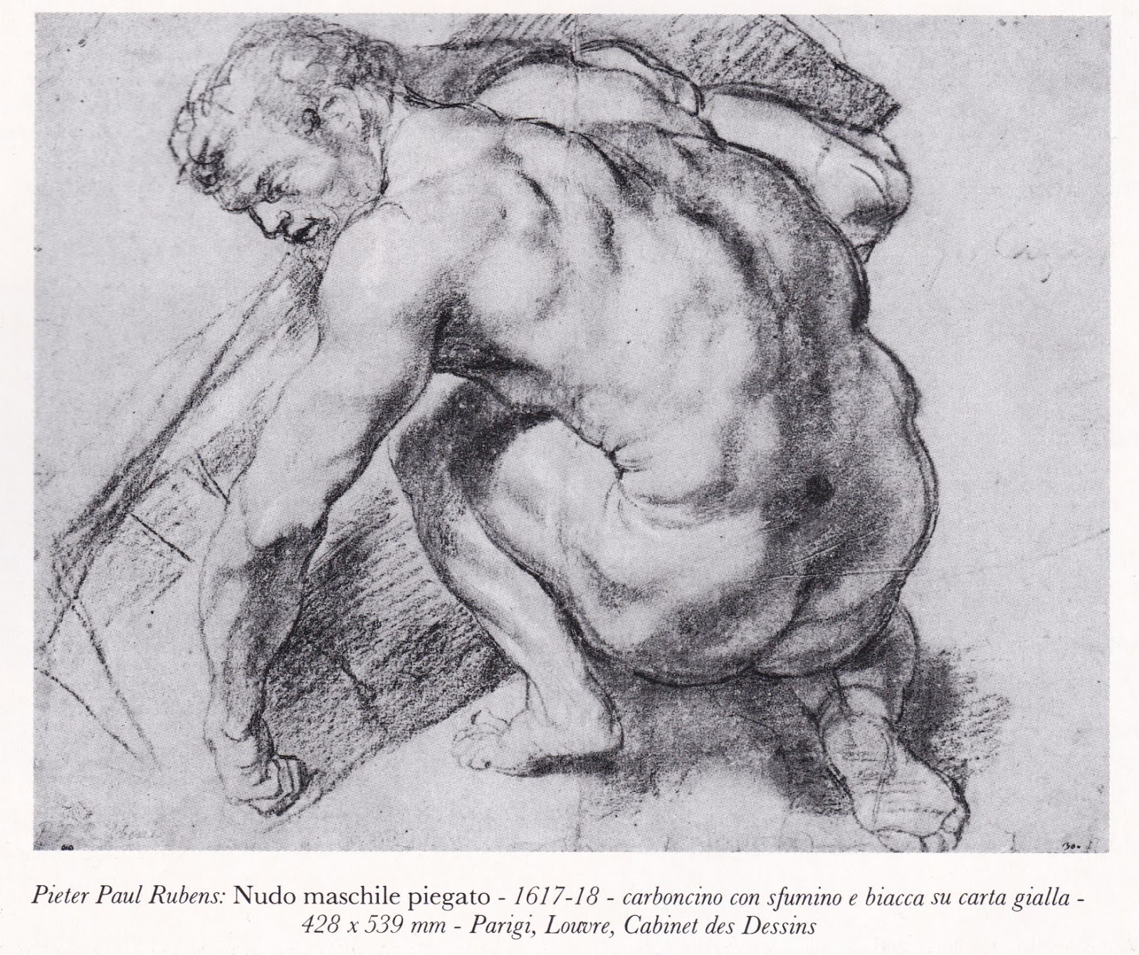 Рубенс анатомические зарисовки. Питер пауль рубенс портрет сына. Питер пауль рубенс рисунки. Рисунки рубенса. Рисунки рубенса.