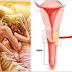 IF YOU DID NOT KNOW, THIS HAPPENS TO YOUR BODY IF YOU DO NOT HAVE INTIMATE RELATIONSHIPS FOR 7 DAYS OR MORE