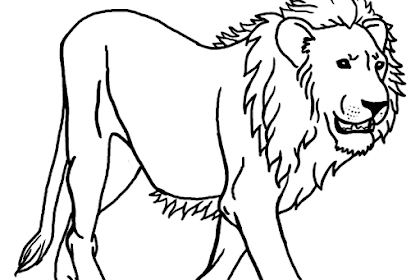 Semua Yang Terbaik Tentang Gambar Hewan Singa Untuk Mewarnai