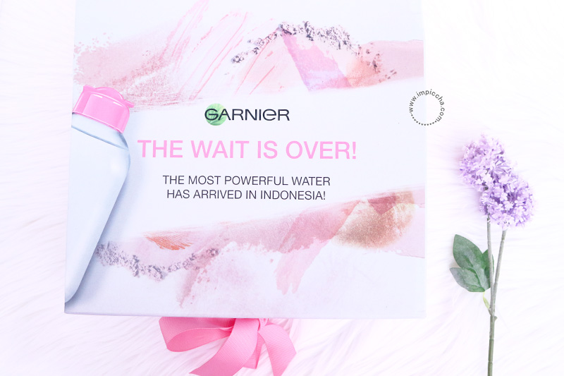 Review Garnier Micellar Water