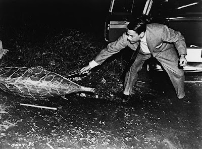 Invasion Of The Body Snatchers 1956 Image 2