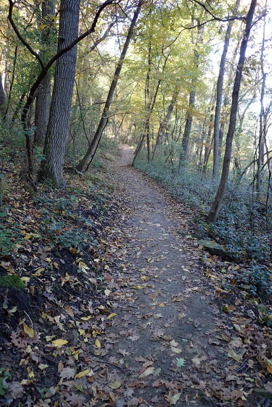 The Continuing Adventures of Eric, Noelle and Sierra Sugar Loaf Bluff