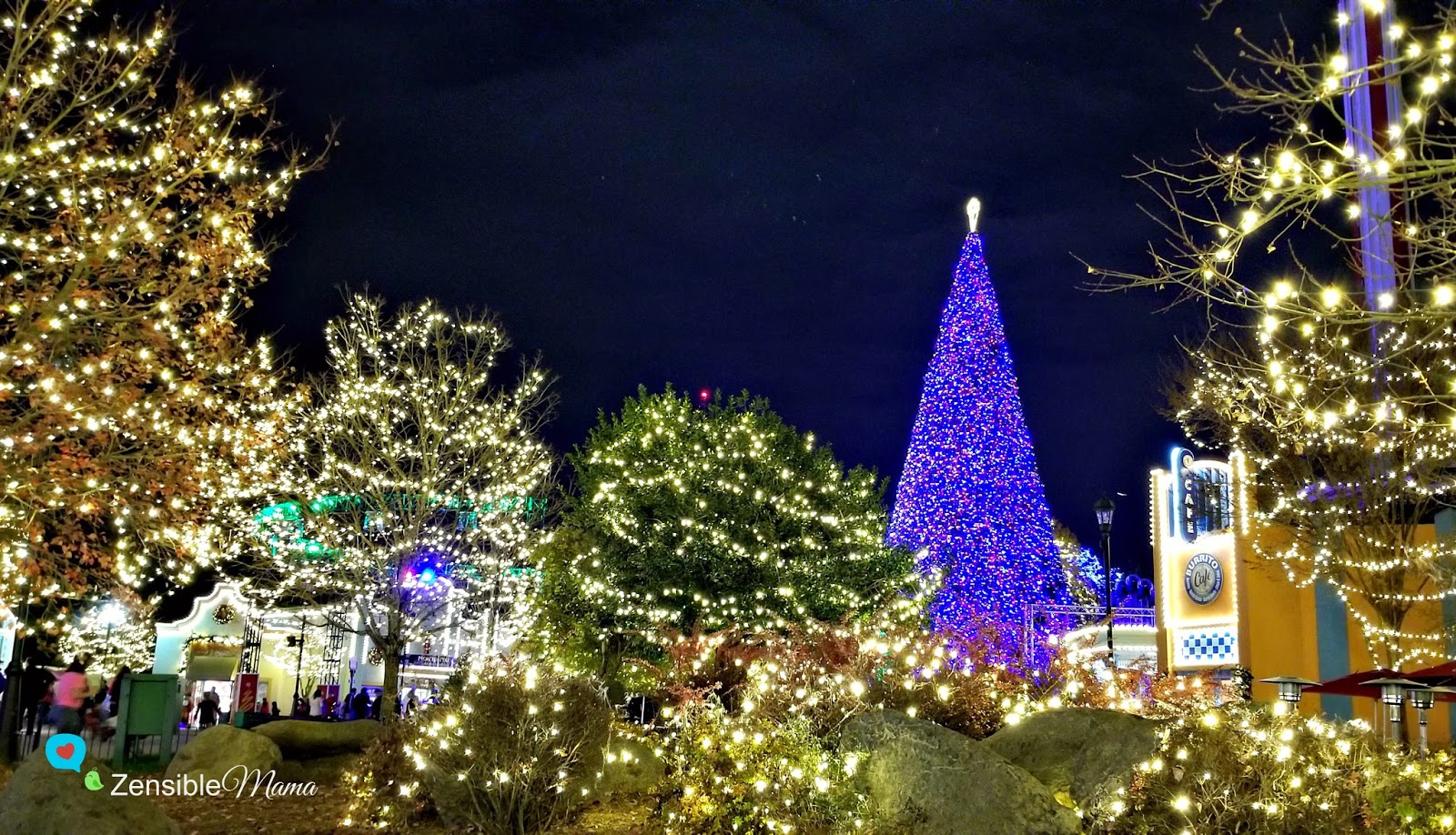 Things Wonderful at Carowinds Winterfest