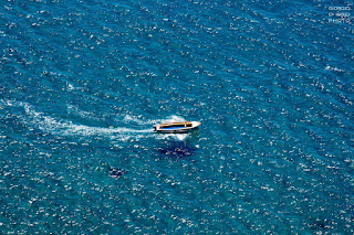 Ischia, Isola d' Ischia, Paesaggi di Ischia, Natura Ischia, La Sgarrupata, La Scarrupata, San Pancrazio Ischia, Sentieri di Ischia, trekking Ischia, 