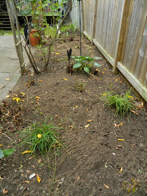 Riverdale garden cleanup after Paul Jung Gardening Services Toronto