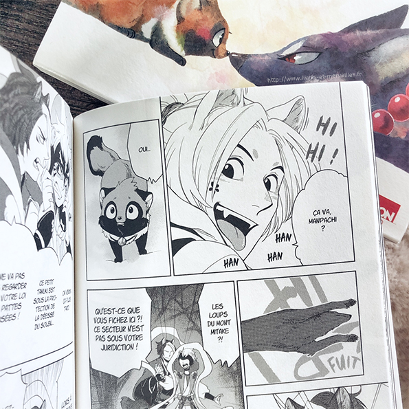 Manga jeunesse : Le renard et le petit Tanuki - Tome 2