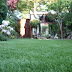 The Way to Get the Best Artificial Grass Installation Services in UK?