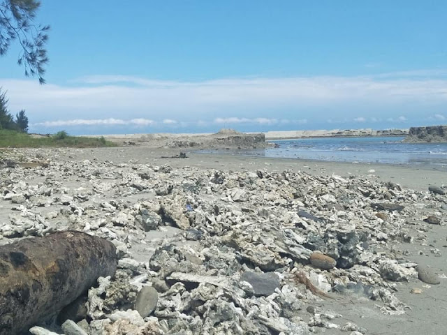 terumbu karang yang hancur di pantai bengkulu