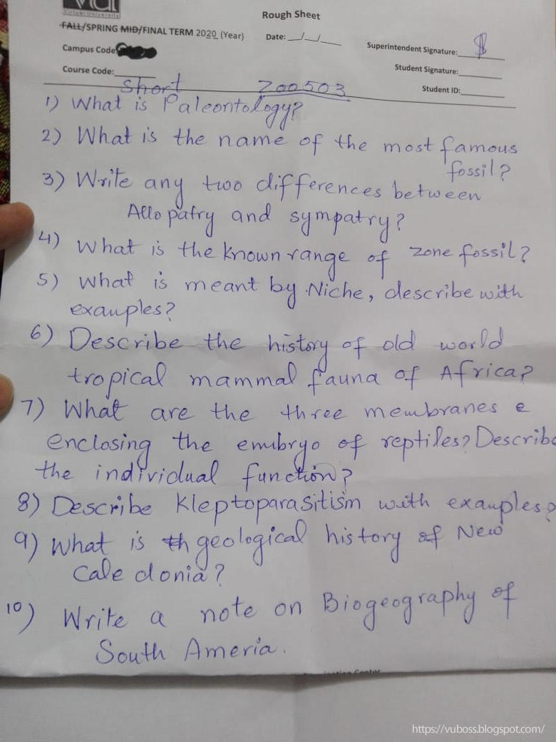 Vu final term paper pattern 2021 image