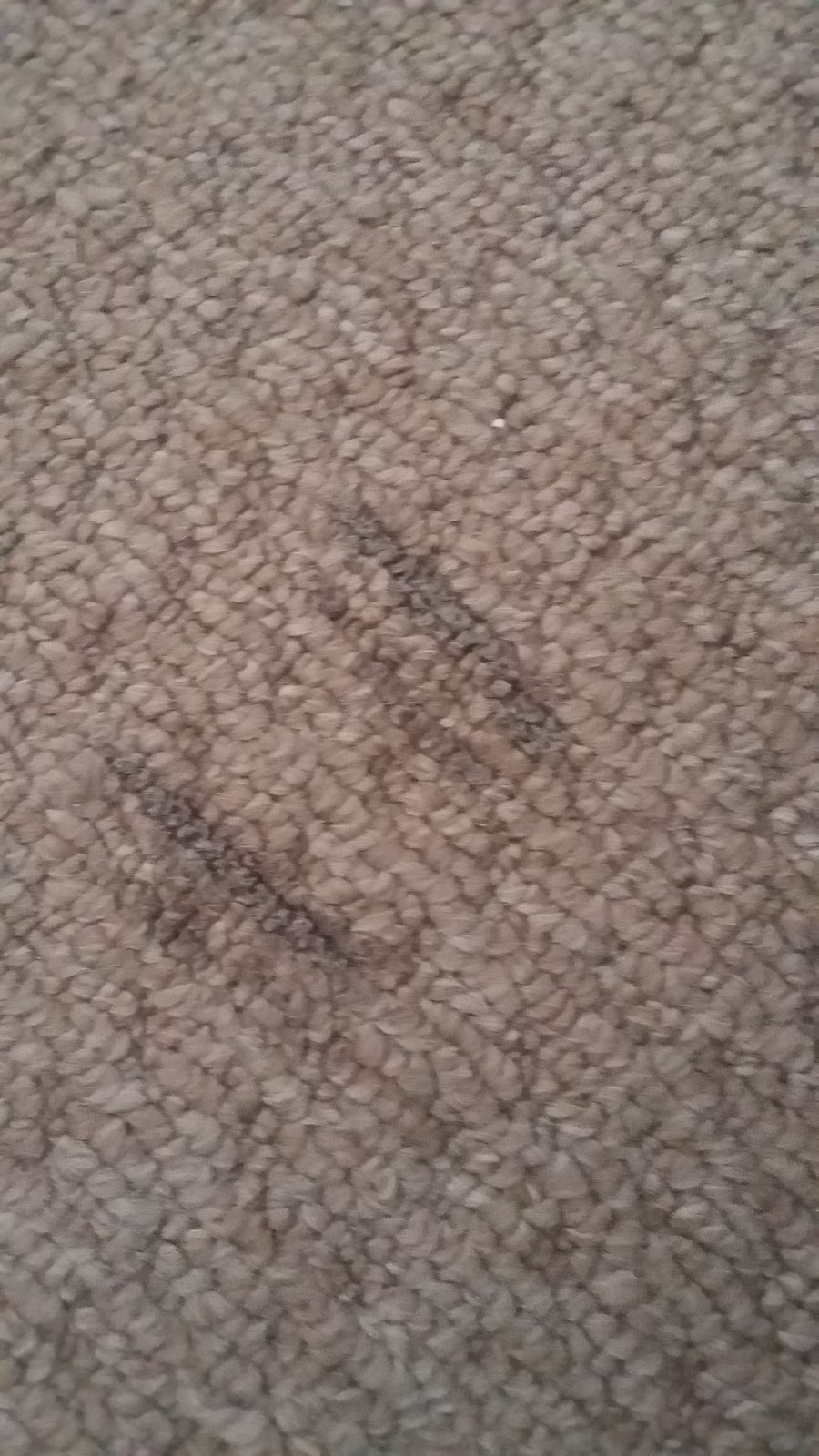 Life Hacks Creative Everyday Life Tips How to Fix Burnt Carpet 3