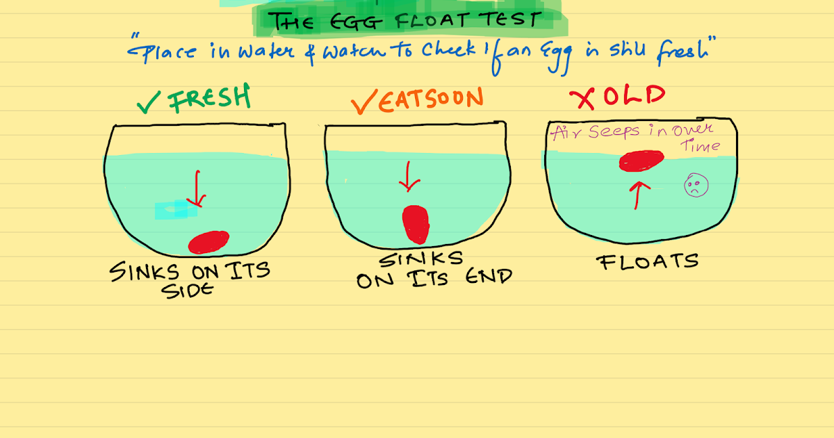 THE EGG FLOAT TEST!