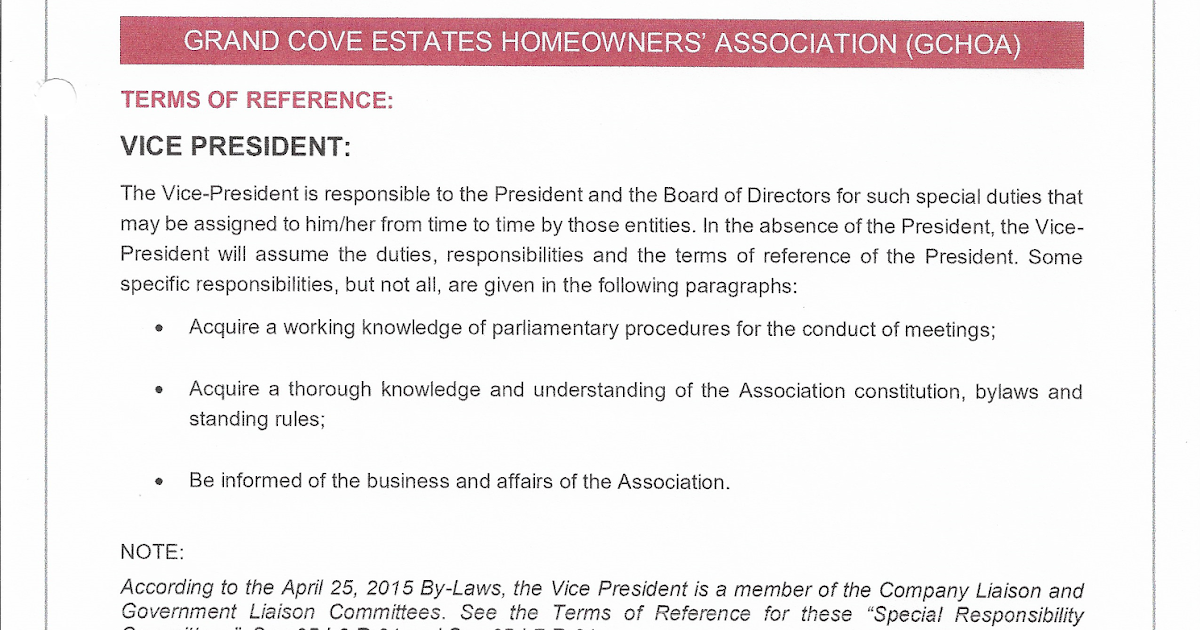 Vice President Job Description