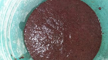 Cara Membuat Pakan Buatan Larva Lele Agar Cepat Besar Jual Pompa Air Modifikasi