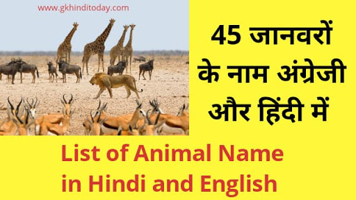 45 animal name list hindi and english