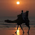 Karachi Camel Ride