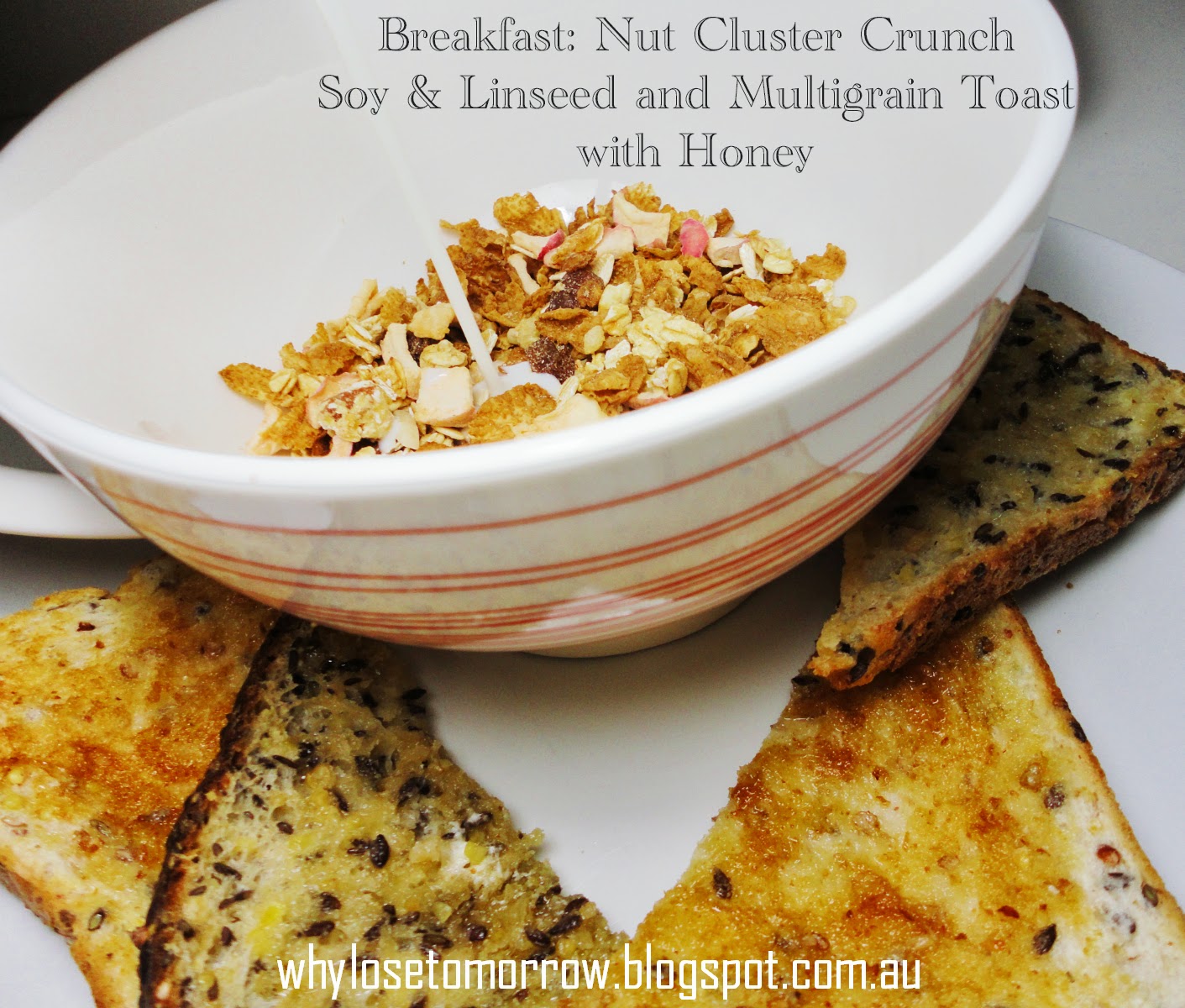 Why Lose Tomorrow? A Little Bit Nutty Weight Loss Week Eleven Day