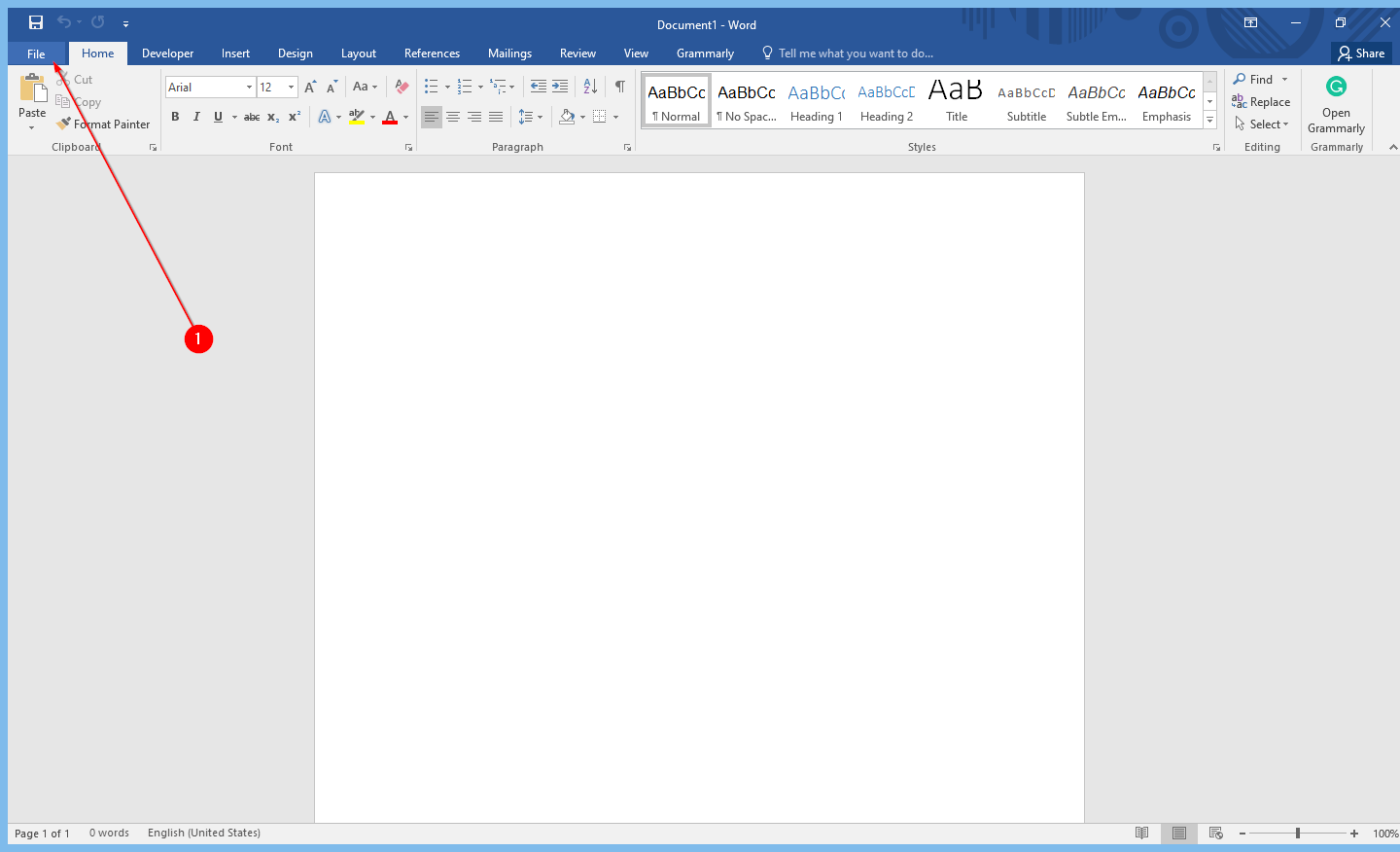 microsoft office word document