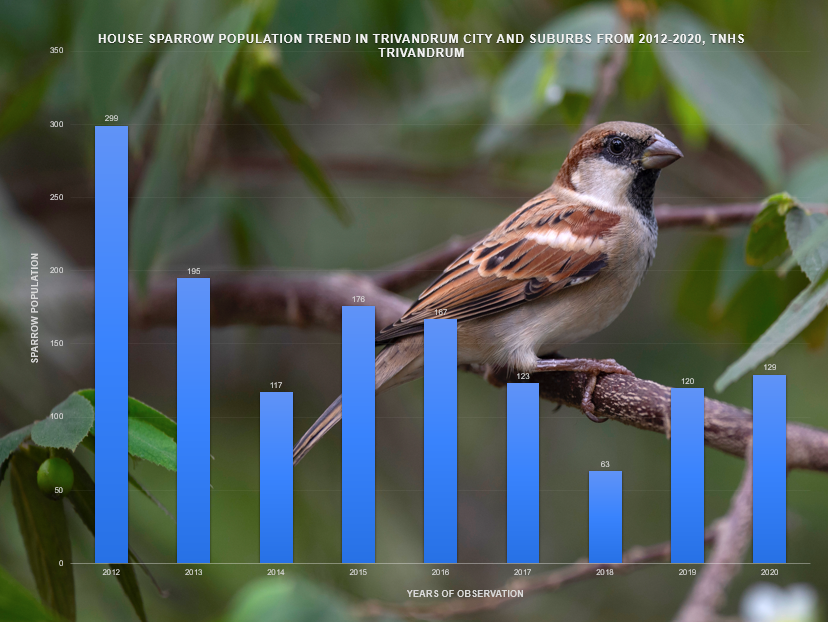 TNHS News House Sparrow Population in the City Shows a Chequered Pattern