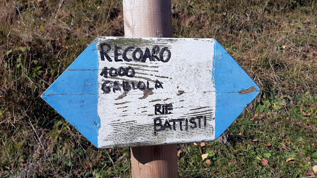 sentiero dei grandi alberi recoaro mille