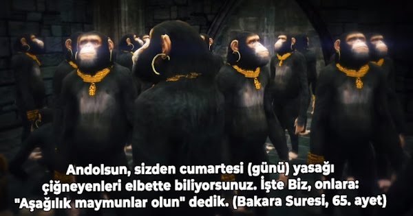 aşağılık+maymunlar