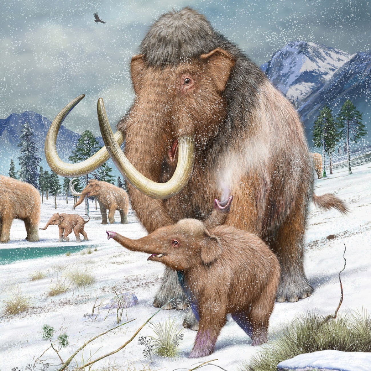 Мамант. Шерстистый мамонт (Woolly Mammoth). Художник Rudolf Farkas. Палеоарт мамонты.