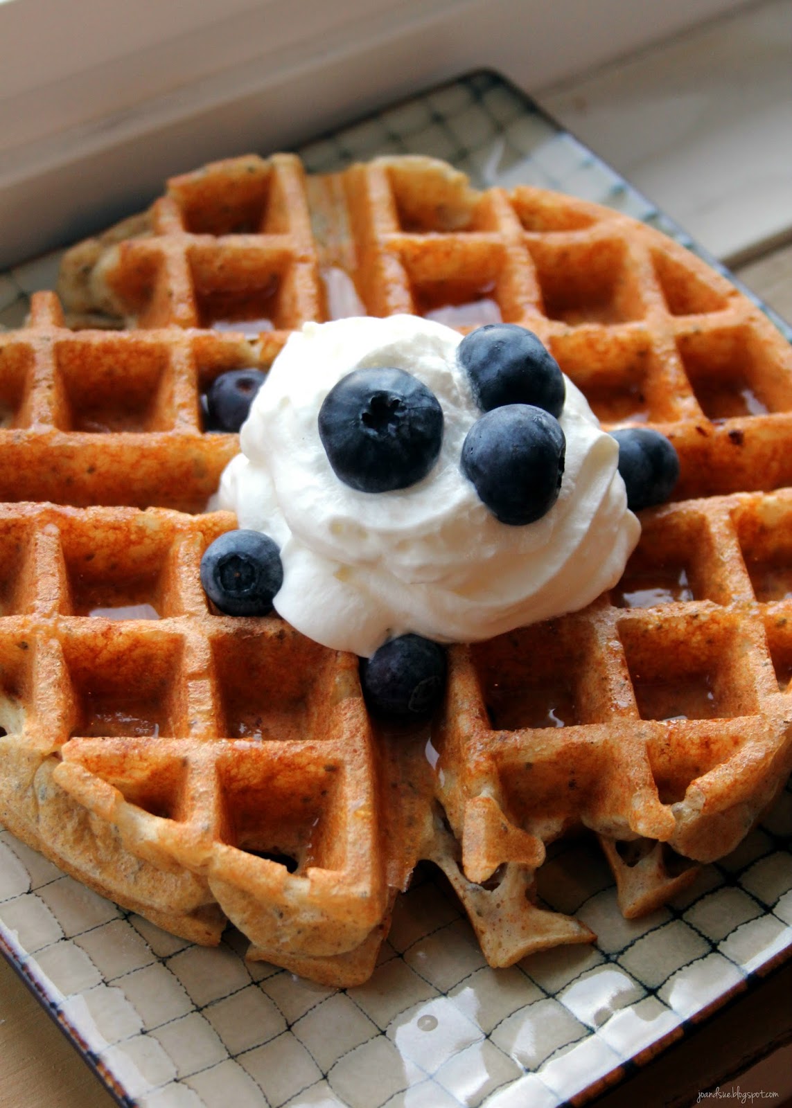 Jo and Sue Low Carb Low Cal Waffles