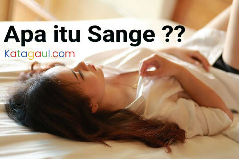 Arti Kata Sange Dan Contohnya Katagaul Com