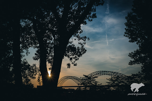 Hernando de Soto Bridge.