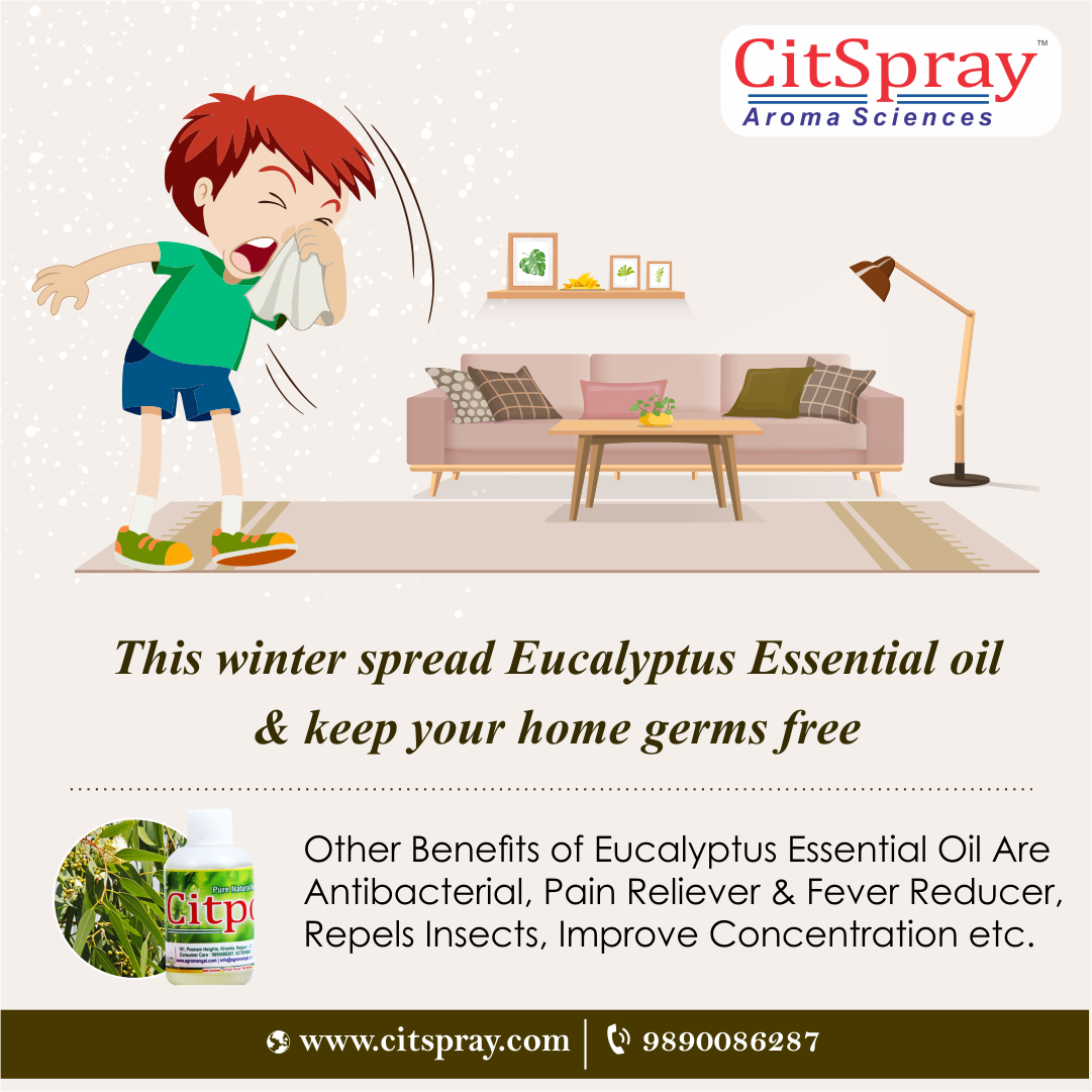 Use of Eucalyptus essential oil in Aromatherapy