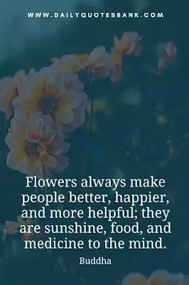 Read beautiful inspirational flower quotes love, life, wisdom, friend, family, dead, garden, dream, sadness, funny and philosophy.