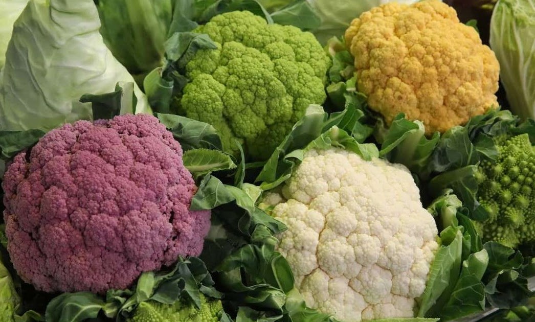 Hybrid Fruits And Vegetables Hybrid fruits and vegetables are manmade