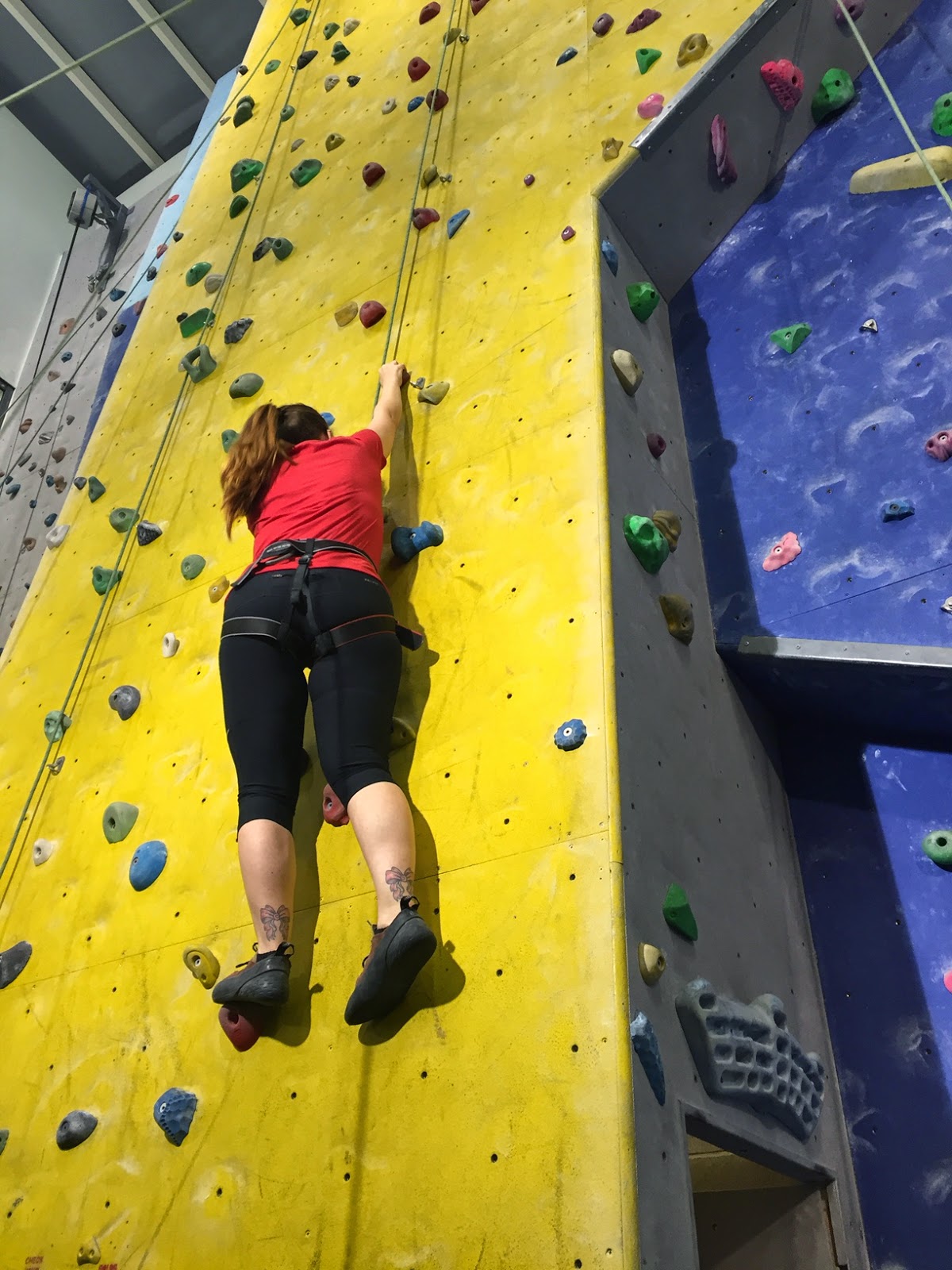 High Sports Basildon Climbing