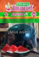 Semangka Arsenal, Semangka Arsenal F1, Benih Semangka Arsenal, Bibit Semangka Arsenal, Harga Semangka Arsenal, Jual Benih Semangka Arsenal, Tanam Semangka Arsenal, Cara Menanam Semangka Arsenal, BCA, Bintang Citra Asia, Lmga Agro