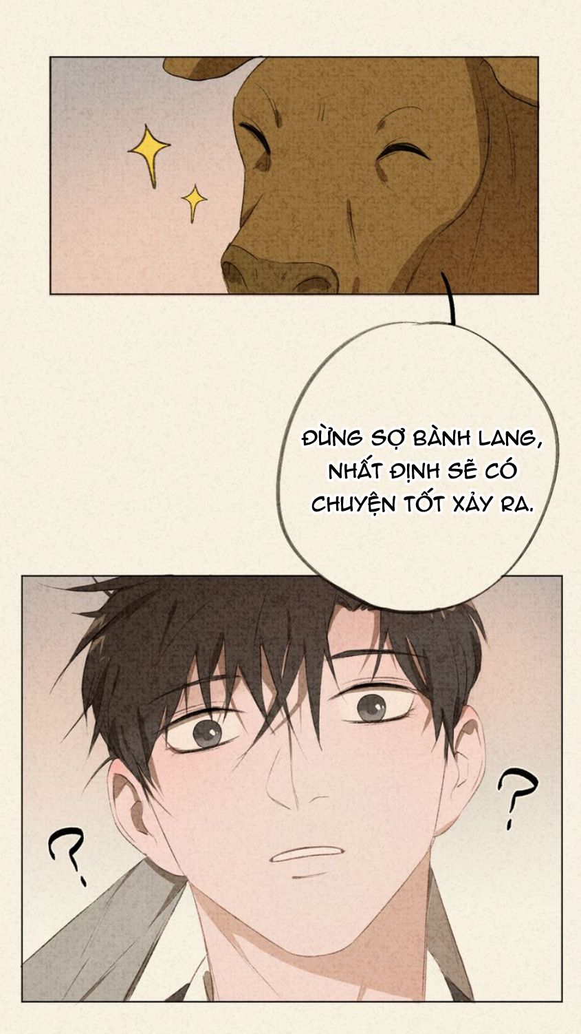 Đọc truyện Thế giới của một chú mèo - Chapter 15.1