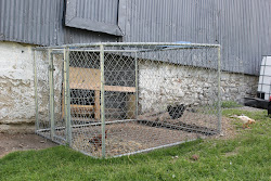 chicken boxes feeders country farm coop nesting runs fly pen engedi inside living outdoor adventures window