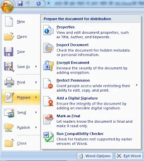 How to protect Ms Word file with password