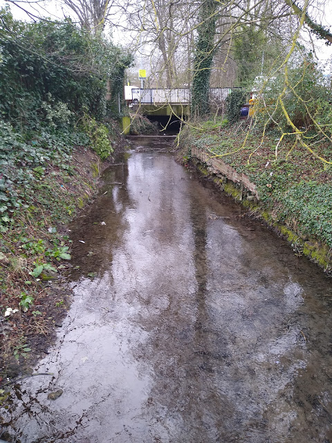 Cherry Hinton Brook, Coldhams Brook, Cambridge, Psychogeography, Terminalia