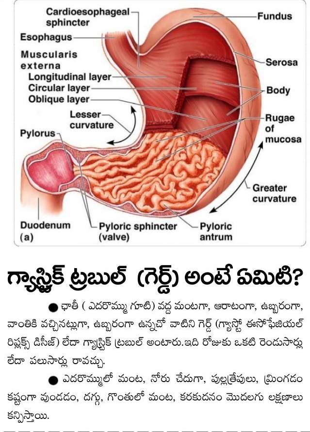 trouble gastric happens advise rid precautions doctors gas taken