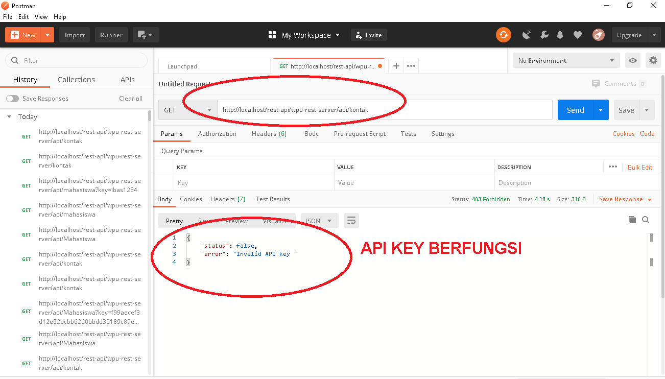 Api ключ openai. API ключ. Как выглядит API ключ. API Key localhost. Передача API Key.