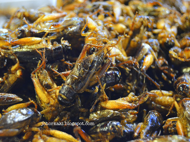 What-Insects-Eat-Bangkok