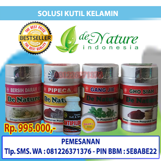 Obat Kutil Kelamin Herbal