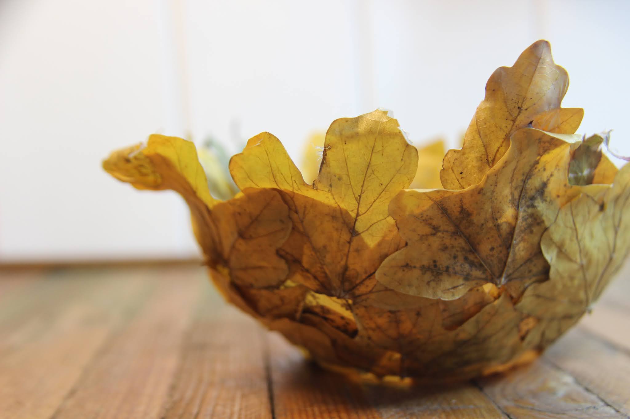 Leaf Bowls autumnal crafting