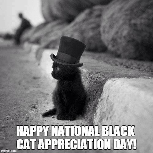 National Black Cat Appreciation Day